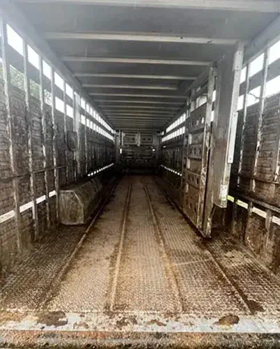 dirty trailer full of anmial crap